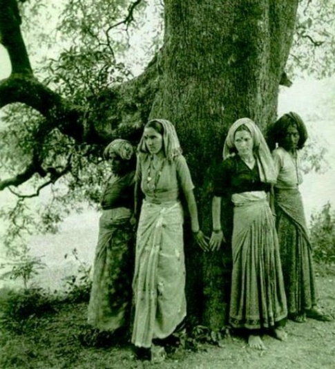 Tree Hugging- India